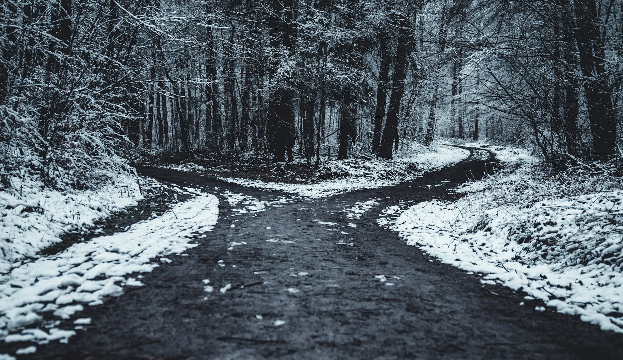 The Fork in the Road